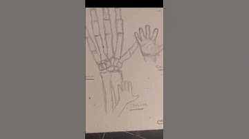 How To Draw Hands - 1,5,10min time lapse #art #drawing #penandink #anatomy #fyp #shorts
