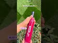 Video Image