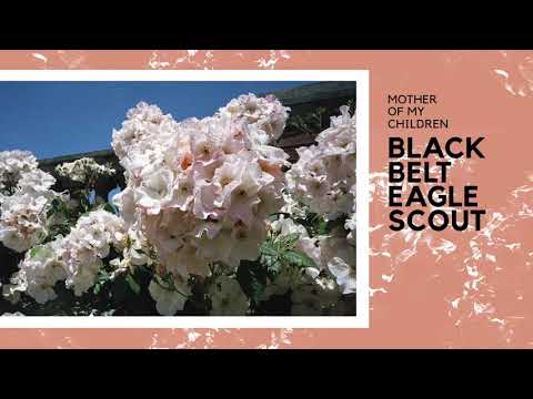 Black Belt Eagle Scout - I Don't Have You In My Life