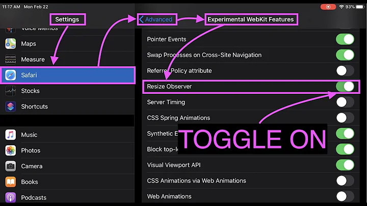 SOLVED: Safari iOS "Oops something went wrong" error