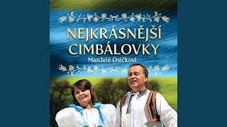 Za lanžhotem V poli