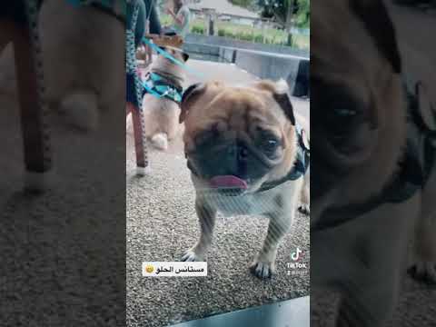 أجواء يعجز لساني عن الكلام 