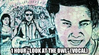 1 HOUR "LOOK AT THE OWL" (VOCAL)