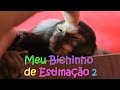 Meu Bichinho de Estimação 2