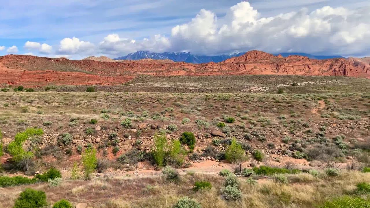 Utah - Leeds - Red Cliffs National Conservation Area - April 2020