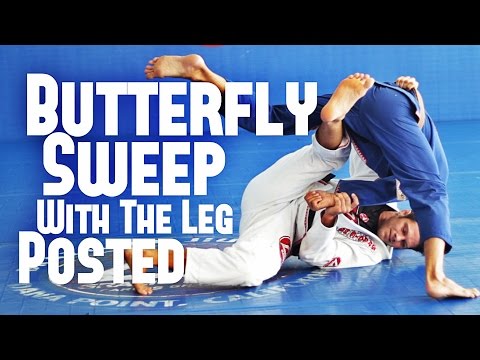 Basic Butterfly Sweep With Leg Posted - BJJ With Flavio Almeida