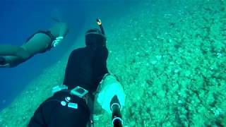Freediving in Portofino with amazing groupers and fishes