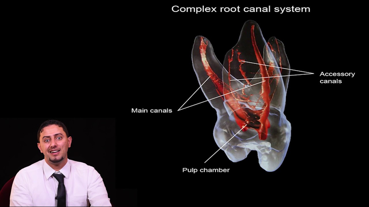 Key success of periapical lesion management