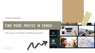 How to find even more Canva photos | How to use Canva stock photos