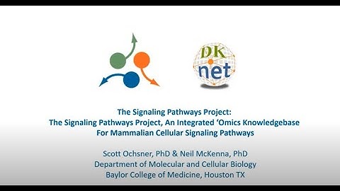 dkNET Webinar: The Signaling Pathways Project, An Integrated ‘Omics Knowledgebase 11/22/2019