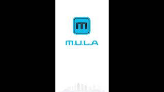 MULA Parcel - Driver App Tutorial screenshot 4