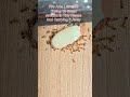 लाल चींटी | Fire Ants #home #fireants #mobilevideography