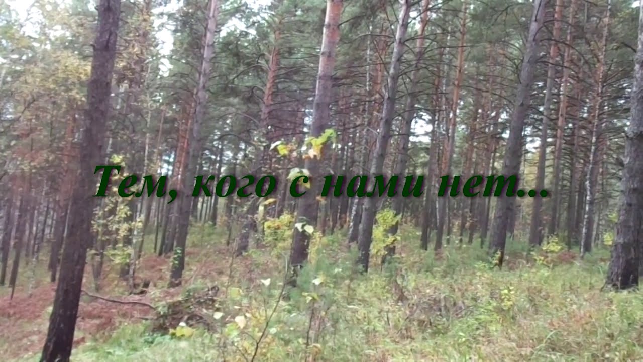 Осин осень краской грусти мир нарисовала слушать