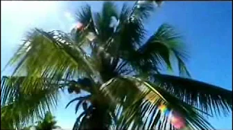 When Love Is Gone - Samantha Sang When Love Is Gone - Samantha Sang