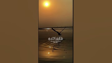 وياقوم اني اخاف عليكم يوم التناد #سورة_غافر #dua #اكسبلور #quran #أدعية #قران_كريم #لايك #حالات_واتس
