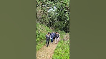 Penuh Perjuangan Jajap Pengantin Di Kampung #wedding #shorts #suasanapedesaan #village #adatsunda