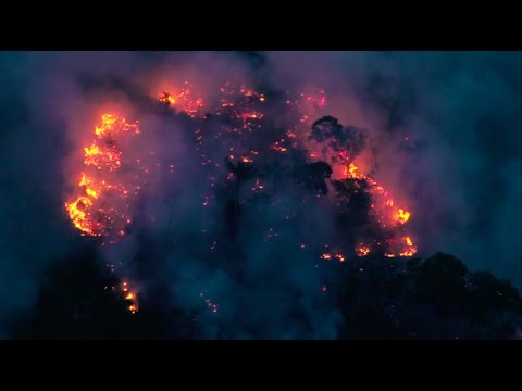 Amazon - Linn Phipps and Bruce Watson - song written by Bruce Watson
