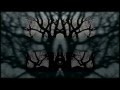 TORUL ~ The Silence Of A Dead Tree [Fan-Video]