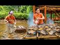 Große Fische aus einem Schlammteich ernten | Riesiger Fang für den Markt & Bushcraft-Küche