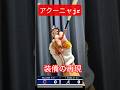 アクーニャjrのフル装備をフル装備してみた