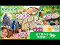 【完全版】「井上咲楽のうままち散歩 #2」美浦トレセン周辺を巡る!今村聖奈騎手とのおしゃべり満載!