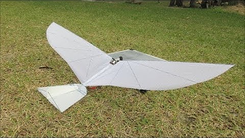 Servo direct drive Unit2 second video : Increase wing width