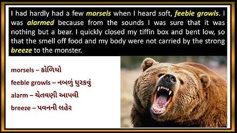 STD. 11 READ. 2 THE WILD SAVIOUR