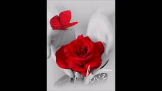 Yar - Diline - Diline - Sarılayım - Beline