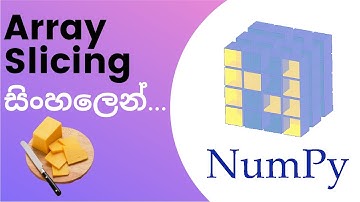 Python Numpy  Tutorial - 04 | Array Slicing | Sinhala