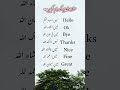 Allahu Akbar ....... #reelsfypシ #reelsvideo #trendingreels #trendingreelsvideo #foryoupageシ #quotes