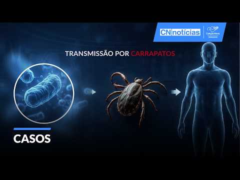 Febre Maculosa conheça a doença que vem do carrapato
