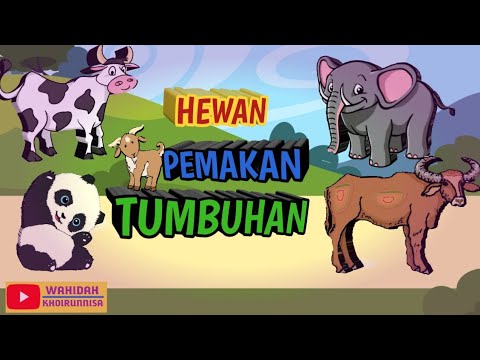  Hewan  Pemakan Tumbuhan Herbivora  Animasi Hewan  