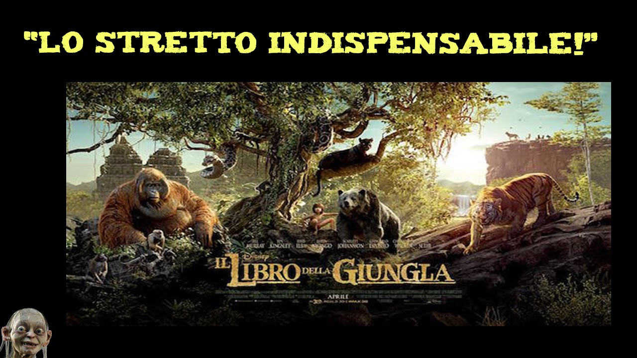 Il Libro Della Giungla Lo Stretto Indispensabile