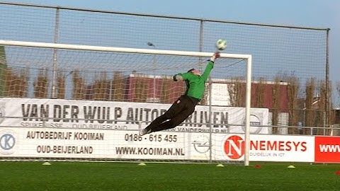 Sven Scholte | Prof keeper bij FC Dordrecht