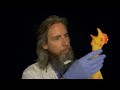 The Rubber Chicken Treatment | ASMR