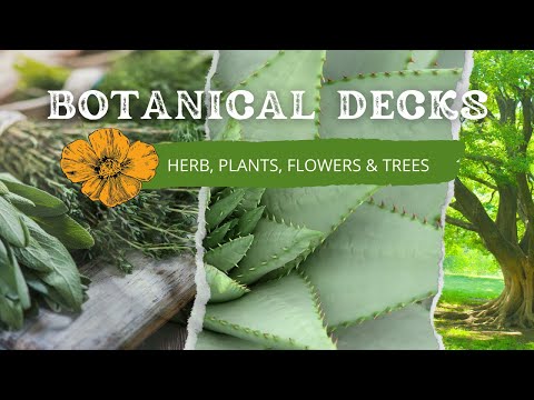 ? Botanical Decks: Herbs, Plants, Flowers & Trees | Tarot & Oracle