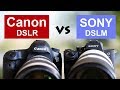 Canon vs Sony Systemwechsel Canon 5D IV zur Sony A7 III - Mirrorless vs Spiegelreflex DSLR