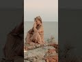 meditation music