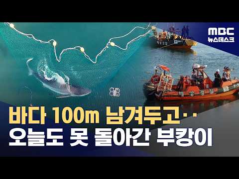 Said "Goodbye," but Rescue Halted 100m From the Sea… Net Caught on Bottom (10/02/2026/Newsdesk/MBC)