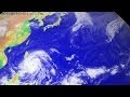 The 2013 typhoon season in the western North Pacific