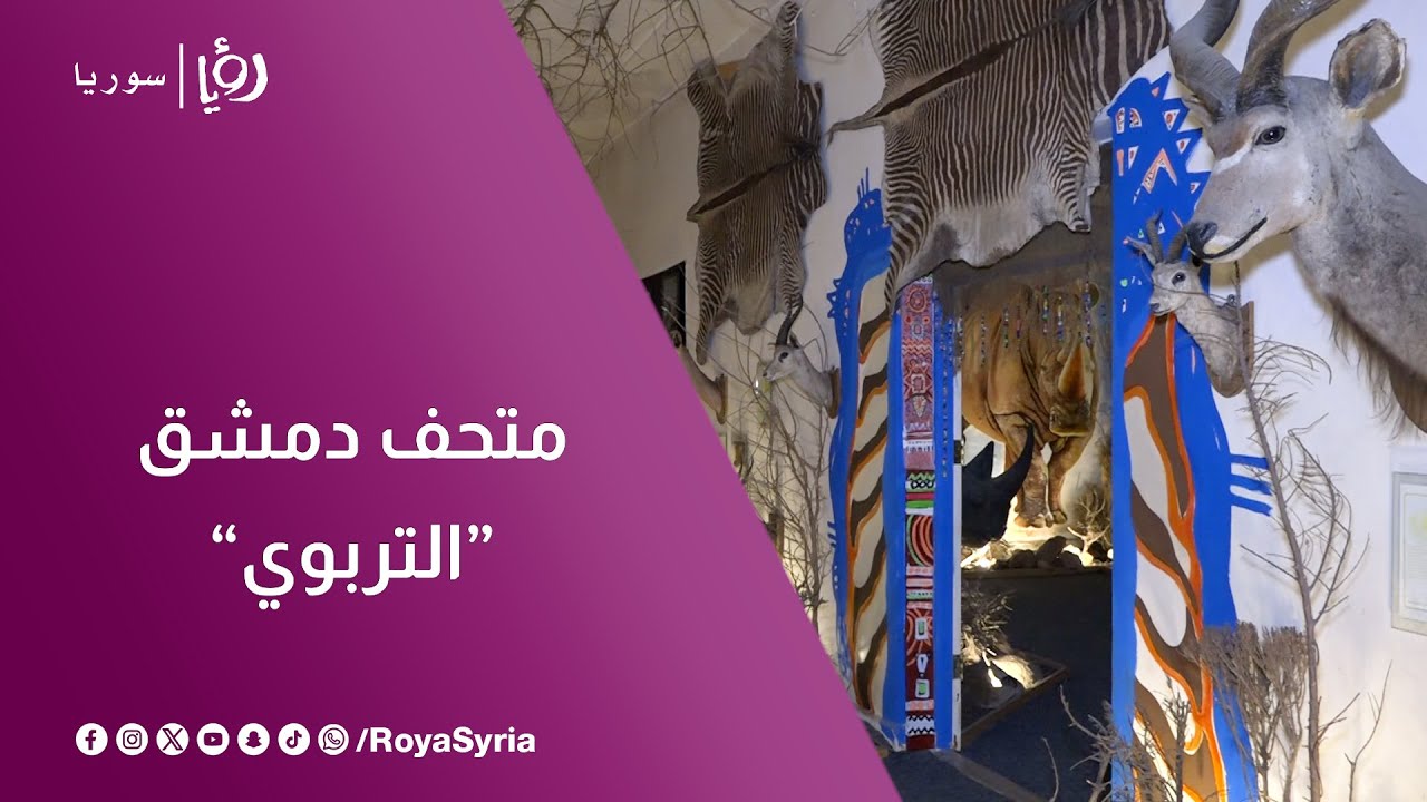 أغرب ماستراه 😱 | رحلة عقل في المتحف التربوي بدمشق