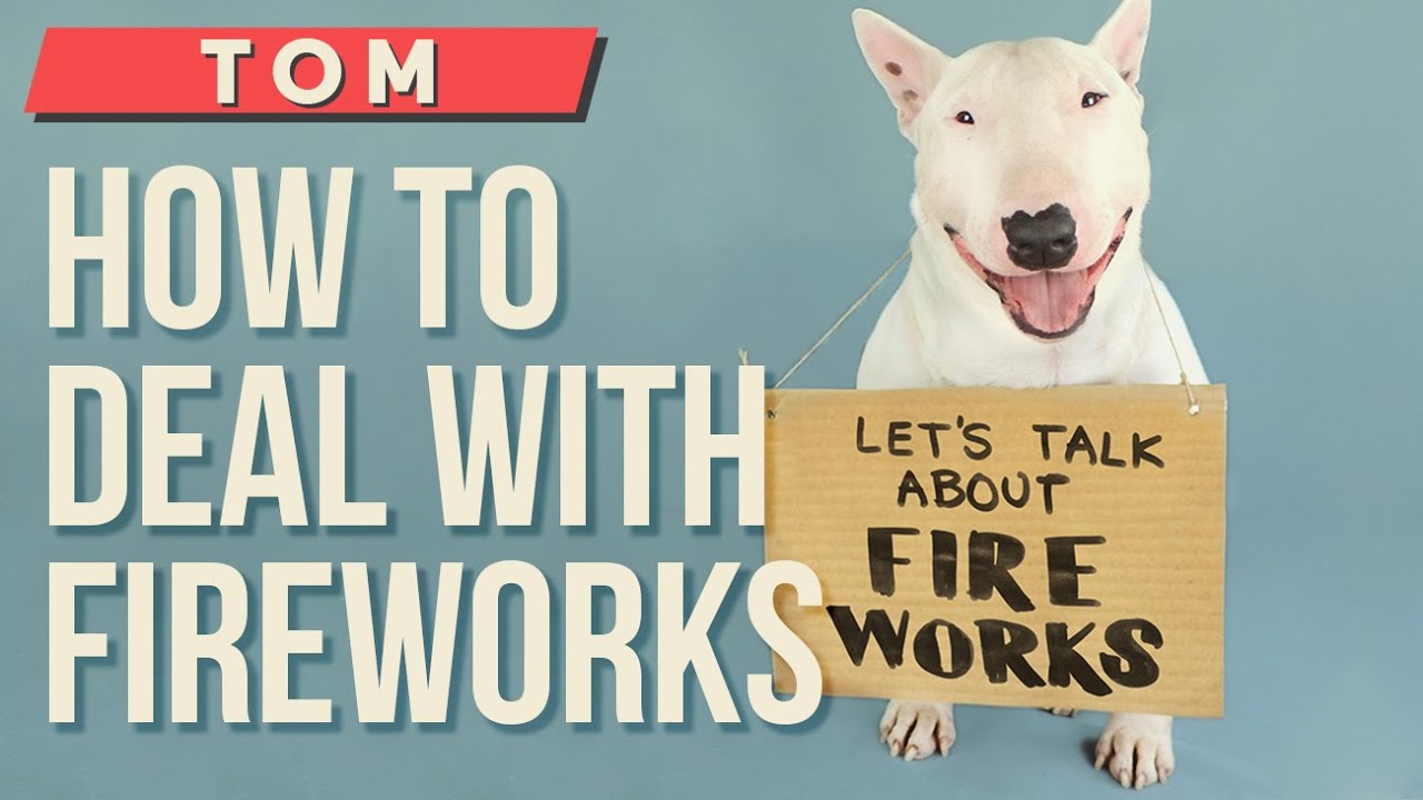 Are Fireworks Bad For Dogs