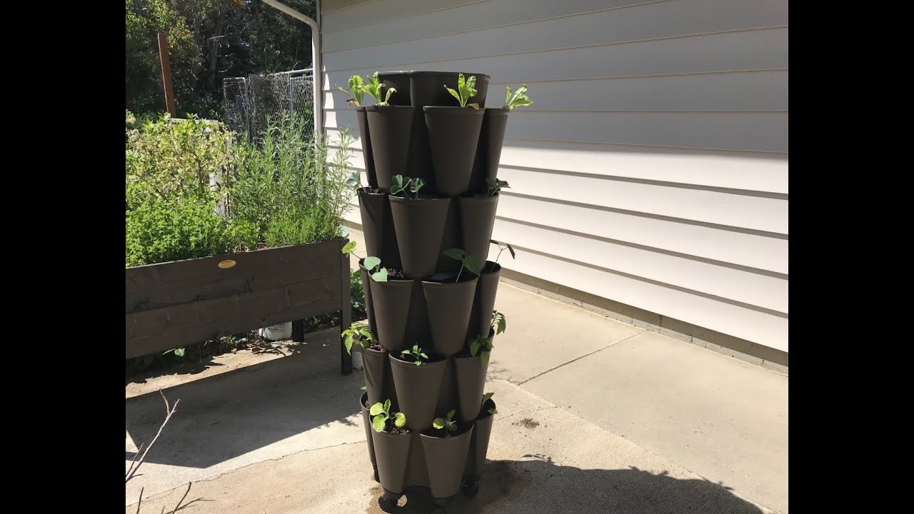 GreenStalk Vertical Planter