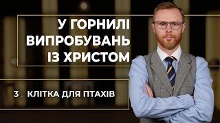 3 |  КЛІТКА ДЛЯ ПТАХІВ | Суботня школа | В Контексті з Артемом Щербанюком