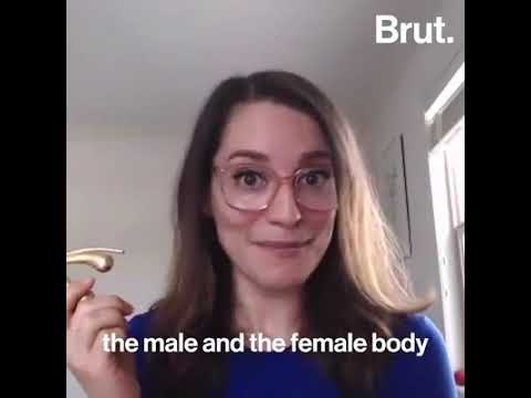 Female Anatomy explained - YouTube