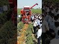 🚜 Modern Farming Machine in Action | Agriculture Technology 2026 #aishorts