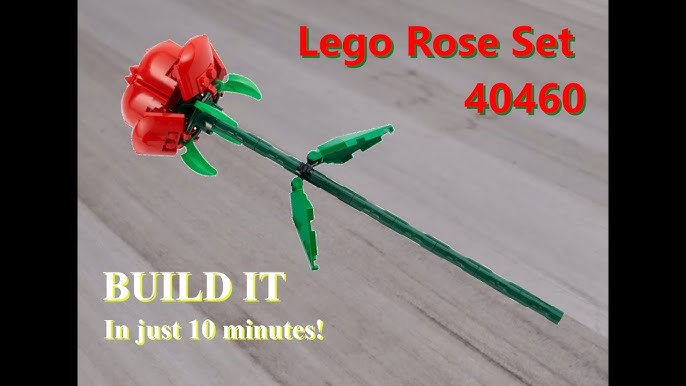 Lego Roses Botanical Collection (40460)🌹 - Lego Build & Review