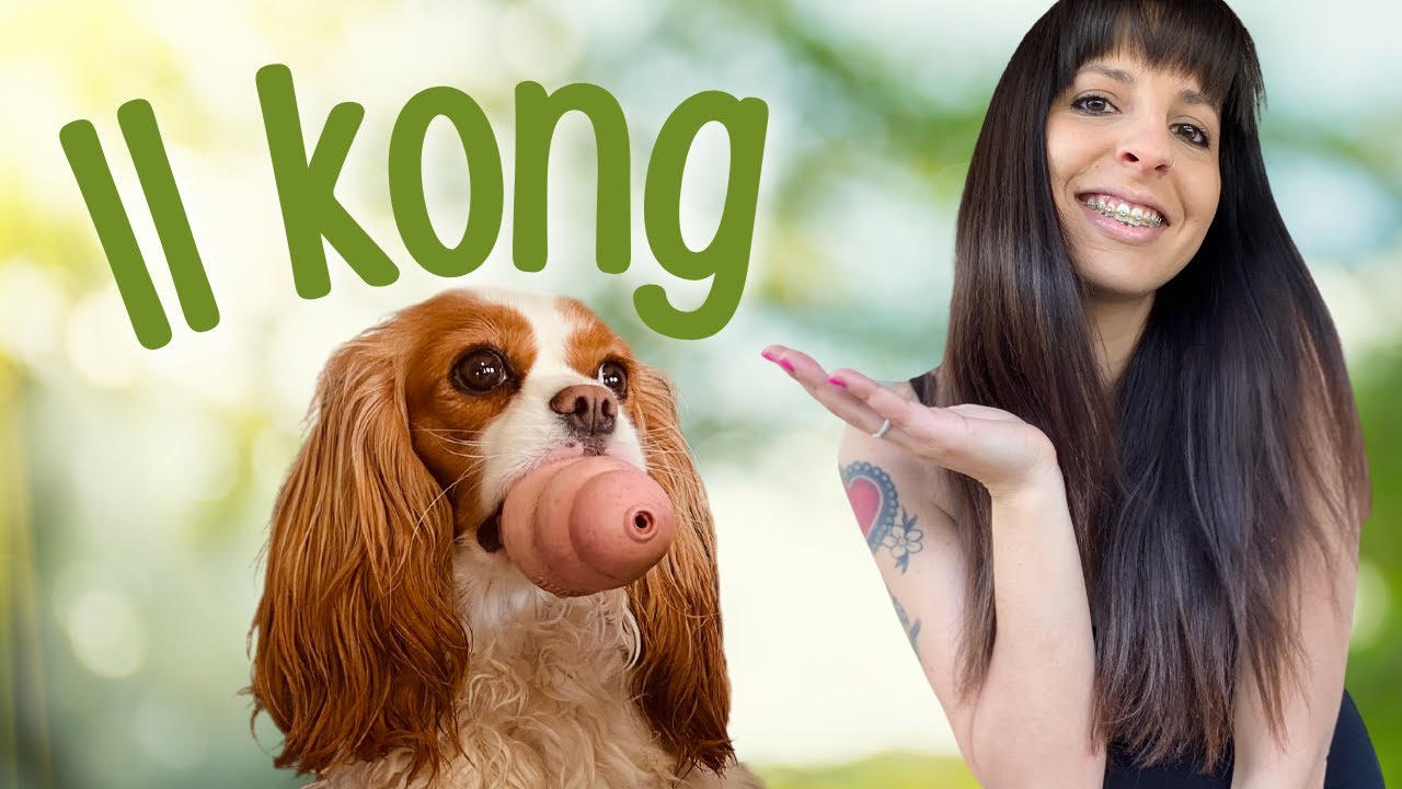 Kong per cani *ISTRUZIONI PER L'USO* | 3 RICETTE per riempirlo