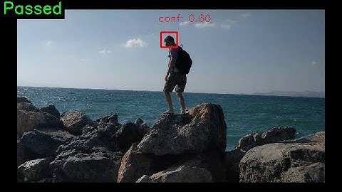 Incremental Visual Tracker | Examples