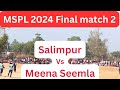 Mspl 2024 final match second inning salimpur vs meena seemla  mspl tournament  final match